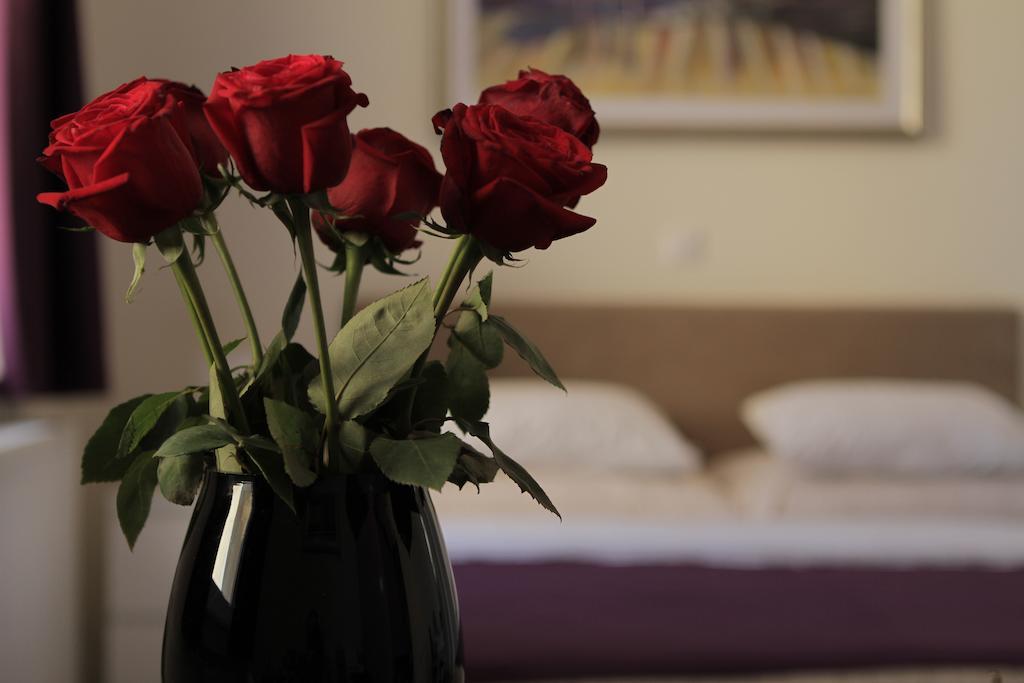 Studio Dolac Centar Apartment